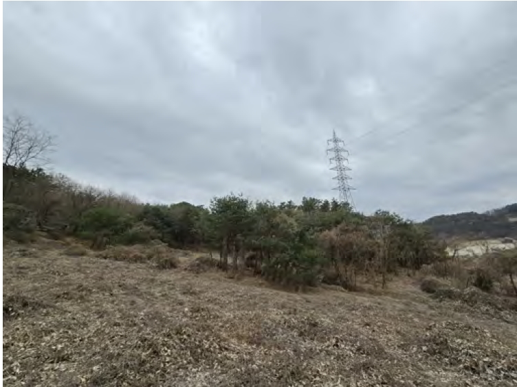 충청남도 금산군 제원면 명곡리 686-2 외 18필지 공장 경매 사진 8