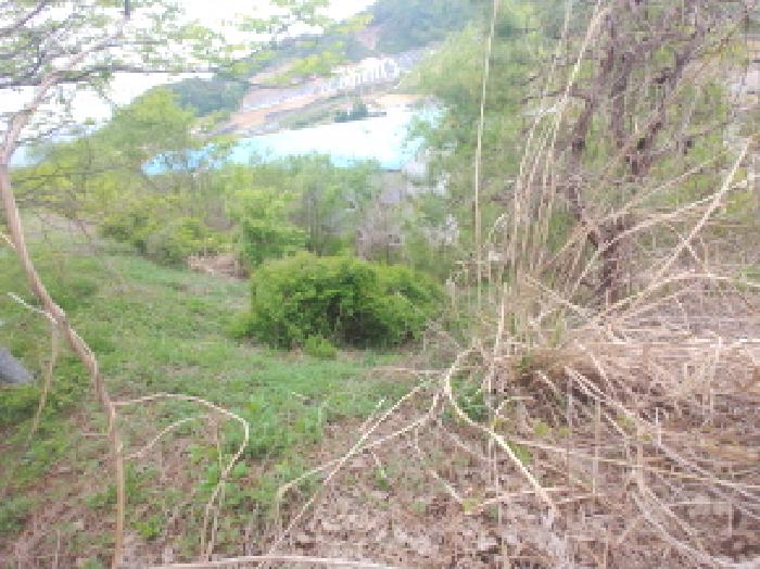 충청남도 금산군 제원면 명곡리 686-2 외 18필지 공장 경매 사진 81