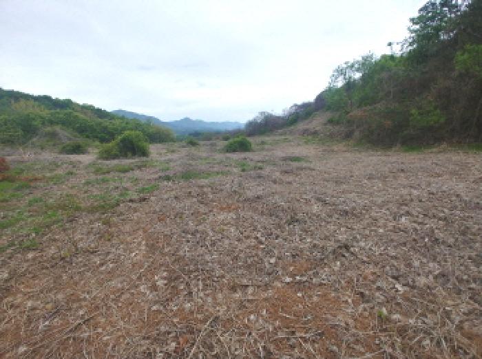 충청남도 금산군 제원면 명곡리 686-2 외 18필지 공장 경매 사진 92