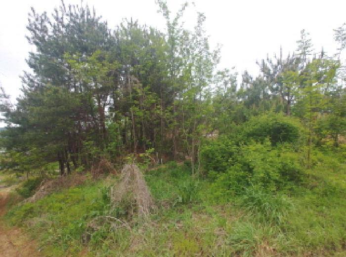 충청남도 금산군 제원면 명곡리 686-2 외 18필지 공장 경매 사진 96