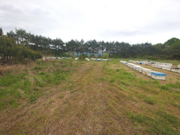 충청남도 금산군 제원면 명곡리 686-2 외 18필지 공장 경매 사진 98