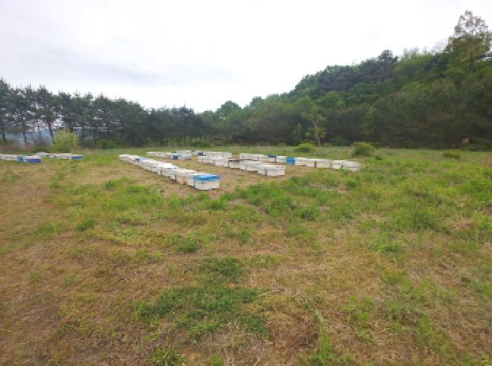 충청남도 금산군 제원면 명곡리 686-2 외 18필지 공장 경매 사진 99