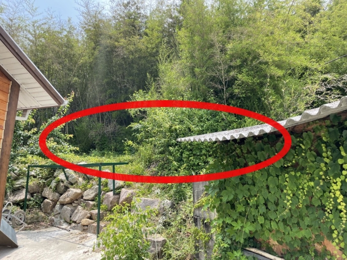 전라남도 곡성군 입면 삼오리 129 대지 경매 사진 6