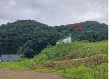 경기도 광주시 퇴촌면 관음리 82-20 외 41필지 임야 경매 사진 2