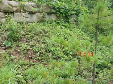 경기도 광주시 퇴촌면 관음리 82-20 외 41필지 임야 경매 사진 14