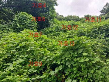 경기도 광주시 퇴촌면 관음리 82-20 외 41필지 임야 경매 사진 20