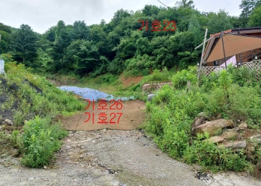 경기도 광주시 퇴촌면 관음리 82-20 외 41필지 임야 경매 사진 3