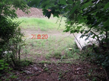 경기도 광주시 퇴촌면 관음리 82-20 외 41필지 임야 경매 사진 22