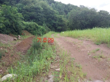 경기도 광주시 퇴촌면 관음리 82-20 외 41필지 임야 경매 사진 23