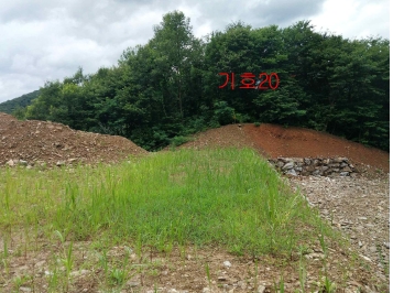 경기도 광주시 퇴촌면 관음리 82-20 외 41필지 임야 경매 사진 24