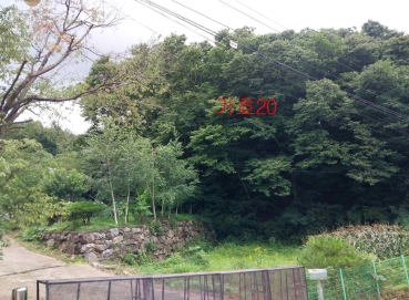 경기도 광주시 퇴촌면 관음리 82-20 외 41필지 임야 경매 사진 26