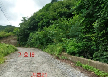 경기도 광주시 퇴촌면 관음리 82-20 외 41필지 임야 경매 사진 28