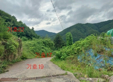 경기도 광주시 퇴촌면 관음리 82-20 외 41필지 임야 경매 사진 4