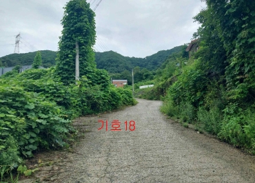 경기도 광주시 퇴촌면 관음리 82-20 외 41필지 임야 경매 사진 5