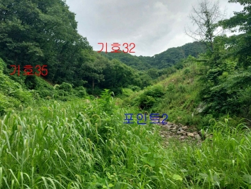 경기도 광주시 퇴촌면 관음리 82-20 외 41필지 임야 경매 사진 6