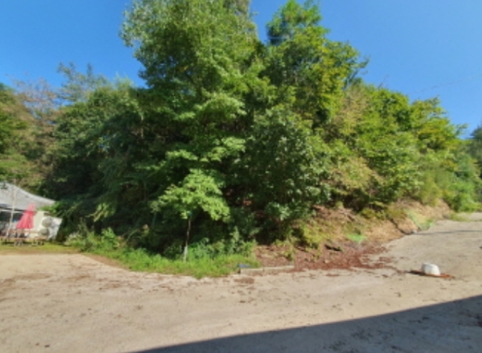 경기도 광주시 퇴촌면 관음리 82-20 외 41필지 임야 경매 사진 57