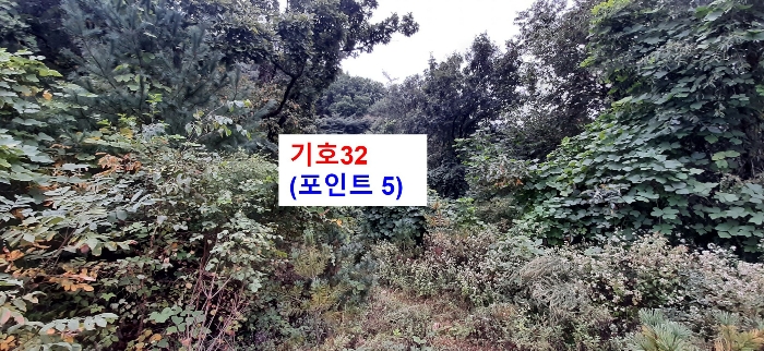경기도 광주시 퇴촌면 관음리 82-20 외 41필지 임야 경매 사진 60