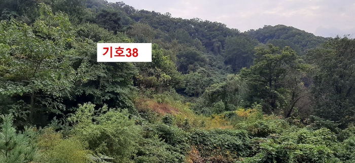 경기도 광주시 퇴촌면 관음리 82-20 외 41필지 임야 경매 사진 61