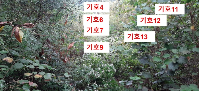 경기도 광주시 퇴촌면 관음리 82-20 외 41필지 임야 경매 사진 62