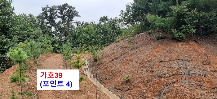 경기도 광주시 퇴촌면 관음리 82-20 외 41필지 임야 경매 사진 73