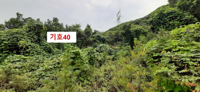 경기도 광주시 퇴촌면 관음리 82-20 외 41필지 임야 경매 사진 80