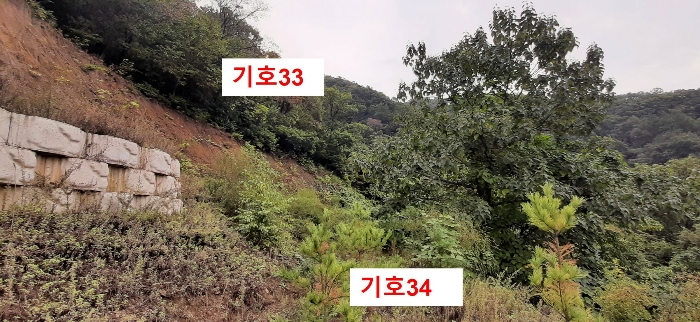 경기도 광주시 퇴촌면 관음리 82-20 외 41필지 임야 경매 사진 81