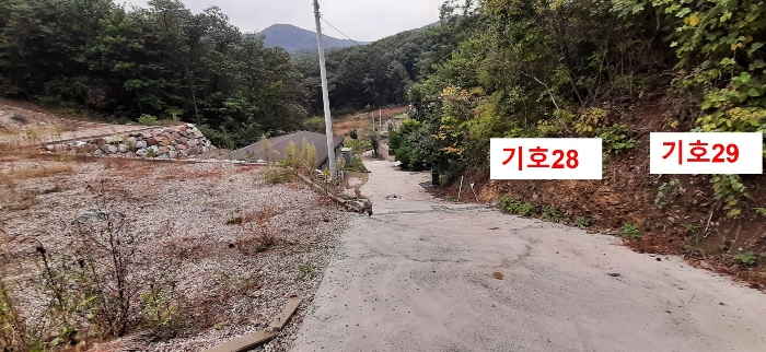 경기도 광주시 퇴촌면 관음리 82-20 외 41필지 임야 경매 사진 83