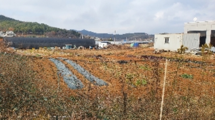 인천광역시 옹진군 영흥면 내리 219-31 외 2필지 근린생활시설 경매 사진 5