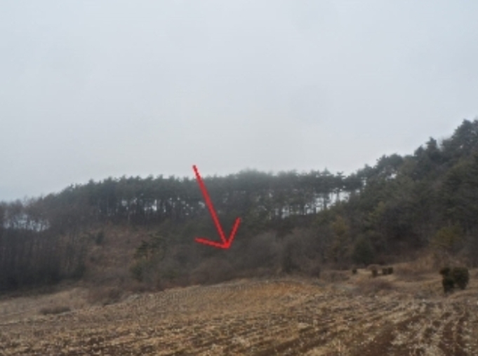 강원도 평창군 대화면 대화리 594-2 전 경매 사진 4