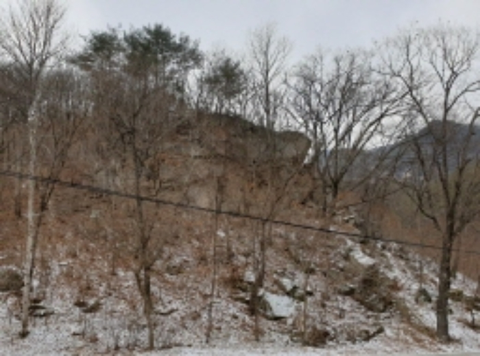 충청북도 단양군 대강면 직티리 354-16 외 33필지 종교시설 경매 사진 2