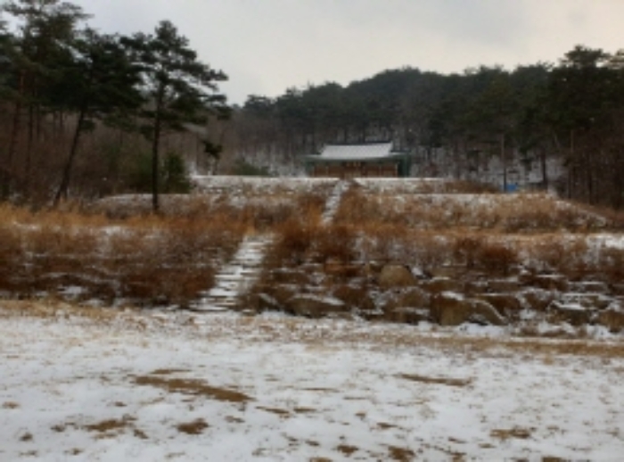 충청북도 단양군 대강면 직티리 354-16 외 33필지 종교시설 경매 사진 106
