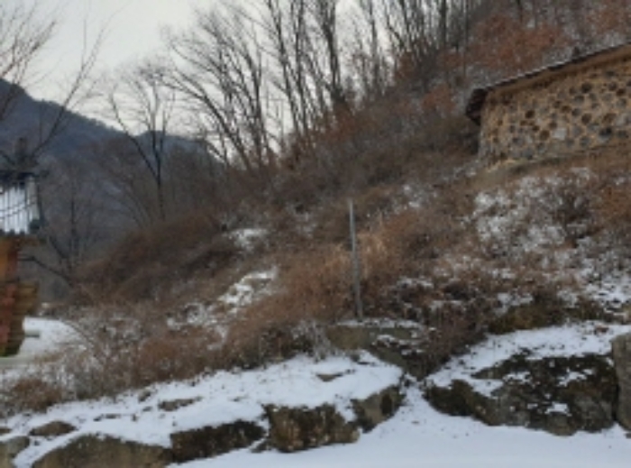 충청북도 단양군 대강면 직티리 354-16 외 33필지 종교시설 경매 사진 112
