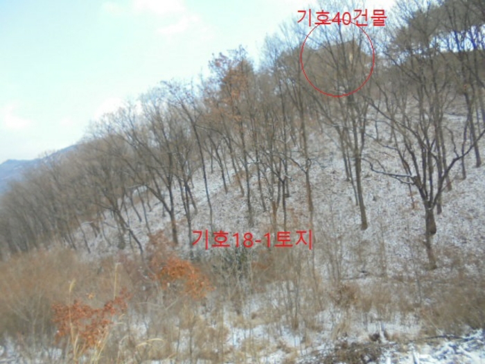 충청북도 단양군 대강면 직티리 354-16 외 33필지 종교시설 경매 사진 127