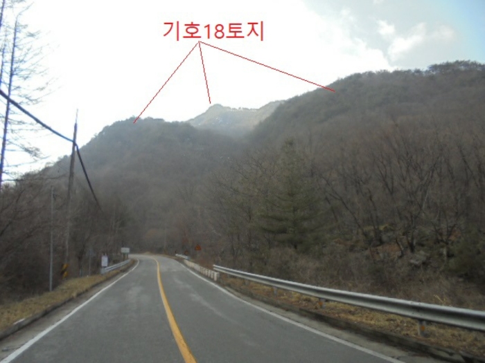 충청북도 단양군 대강면 직티리 354-16 외 33필지 종교시설 경매 사진 129
