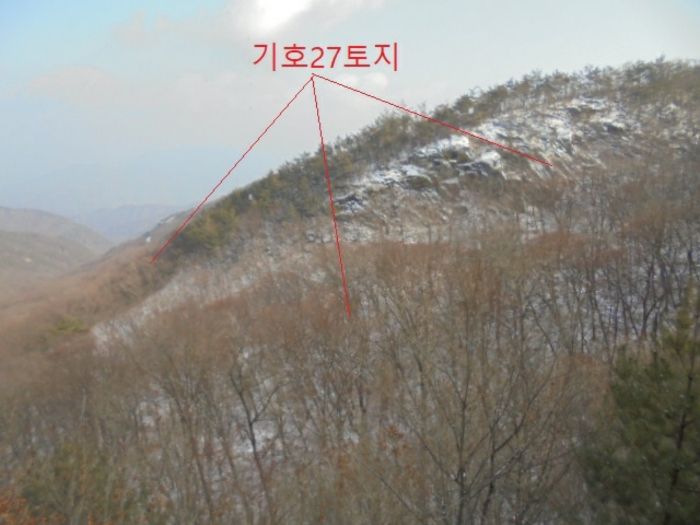 충청북도 단양군 대강면 직티리 354-16 외 33필지 종교시설 경매 사진 130