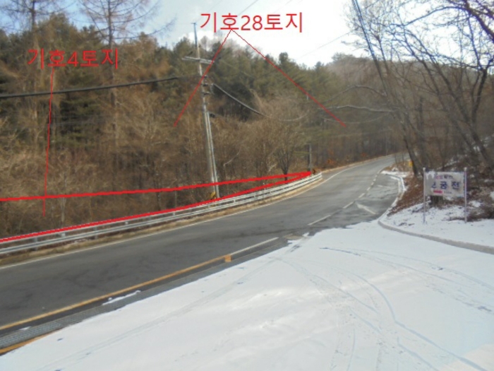 충청북도 단양군 대강면 직티리 354-16 외 33필지 종교시설 경매 사진 133