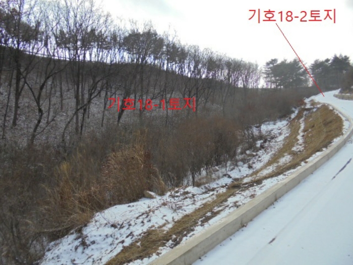 충청북도 단양군 대강면 직티리 354-16 외 33필지 종교시설 경매 사진 134