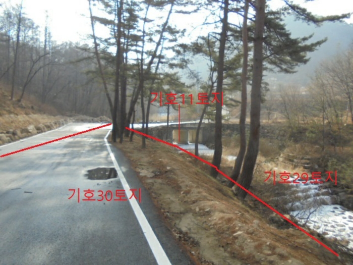 충청북도 단양군 대강면 직티리 354-16 외 33필지 종교시설 경매 사진 144