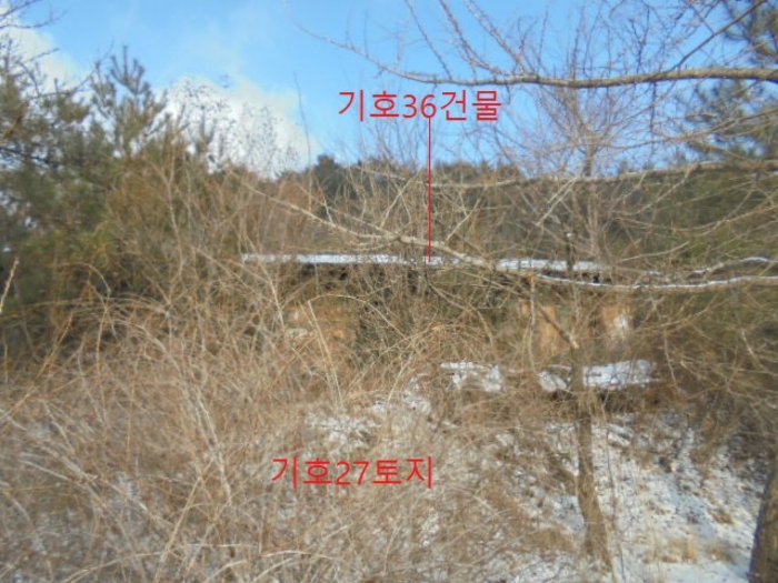 충청북도 단양군 대강면 직티리 354-16 외 33필지 종교시설 경매 사진 149