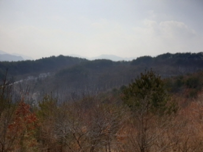 충청북도 단양군 대강면 직티리 354-16 외 33필지 종교시설 경매 사진 17