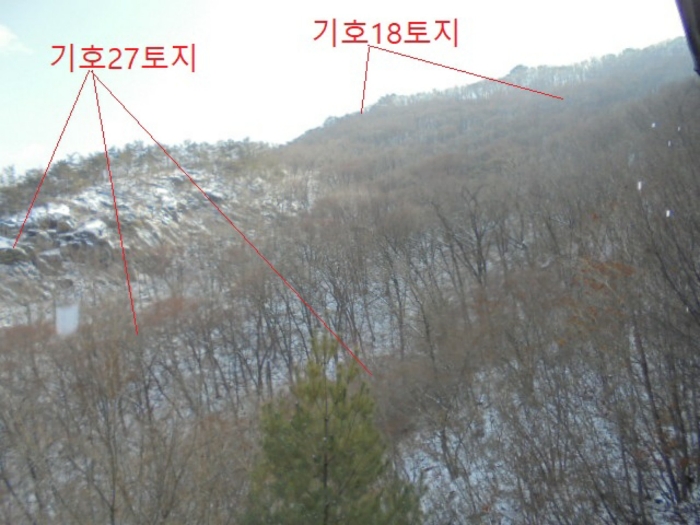 충청북도 단양군 대강면 직티리 354-16 외 33필지 종교시설 경매 사진 162