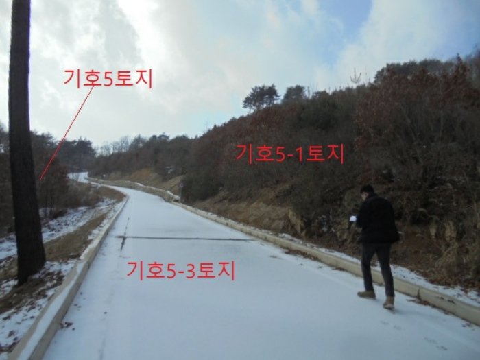 충청북도 단양군 대강면 직티리 354-16 외 33필지 종교시설 경매 사진 165