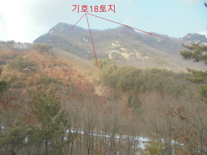 충청북도 단양군 대강면 직티리 354-16 외 33필지 종교시설 경매 사진 166