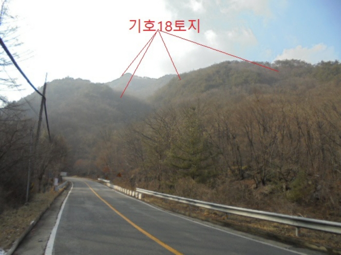 충청북도 단양군 대강면 직티리 354-16 외 33필지 종교시설 경매 사진 172