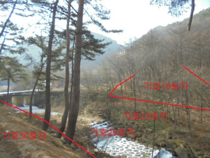 충청북도 단양군 대강면 직티리 354-16 외 33필지 종교시설 경매 사진 176