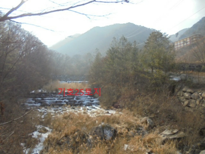 충청북도 단양군 대강면 직티리 354-16 외 33필지 종교시설 경매 사진 178