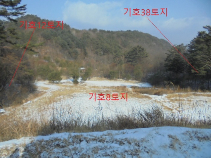 충청북도 단양군 대강면 직티리 354-16 외 33필지 종교시설 경매 사진 183