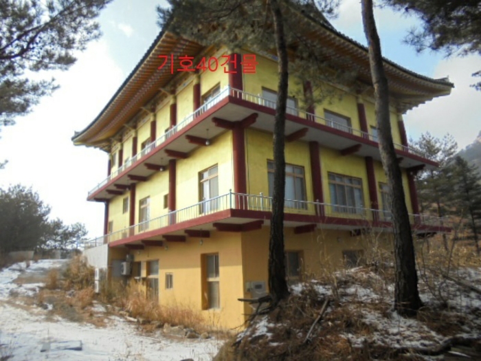 충청북도 단양군 대강면 직티리 354-16 외 33필지 종교시설 경매 사진 184