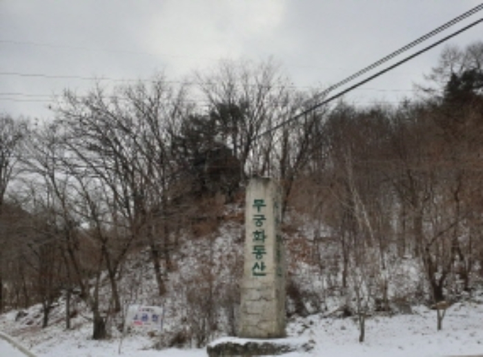 충청북도 단양군 대강면 직티리 354-16 외 33필지 종교시설 경매 사진 3