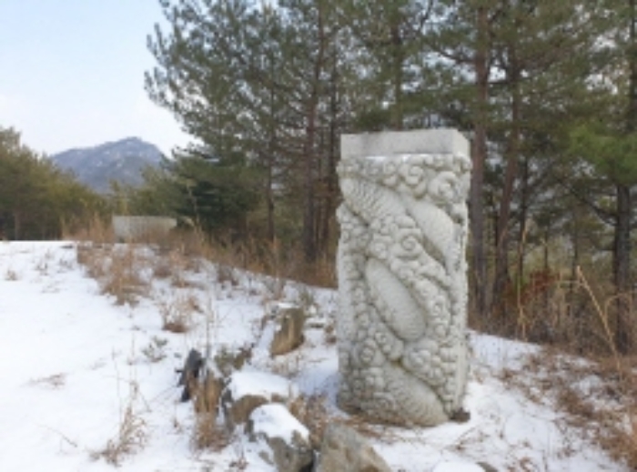 충청북도 단양군 대강면 직티리 354-16 외 33필지 종교시설 경매 사진 23